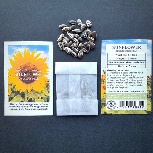 Sunflower Seeds